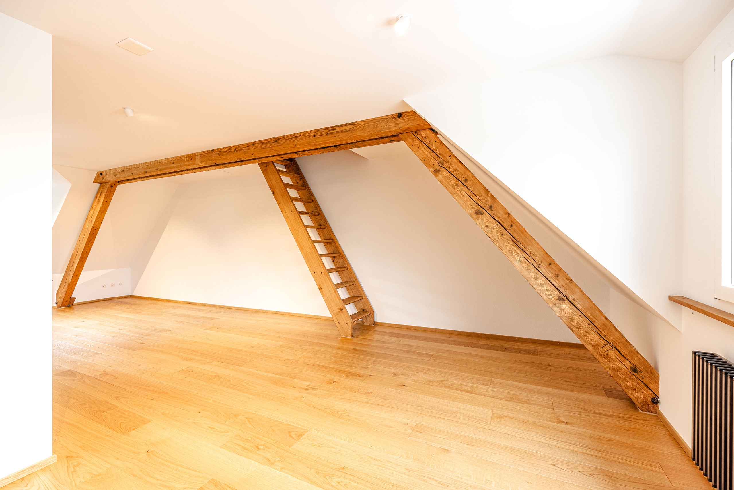 01-R5025496_BSA_Bachofenstrasse4