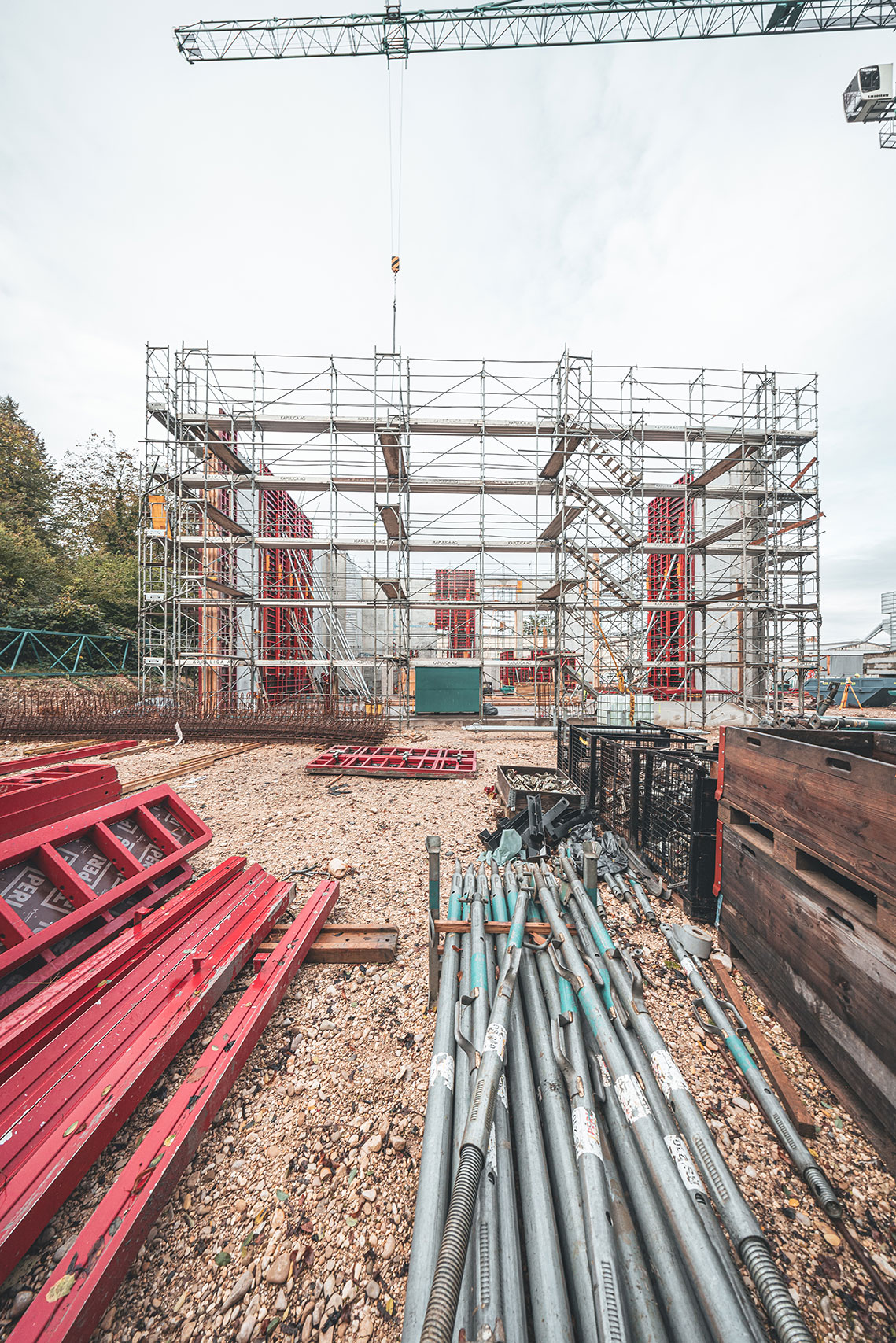 02-R5029272_BSA_Weidenring