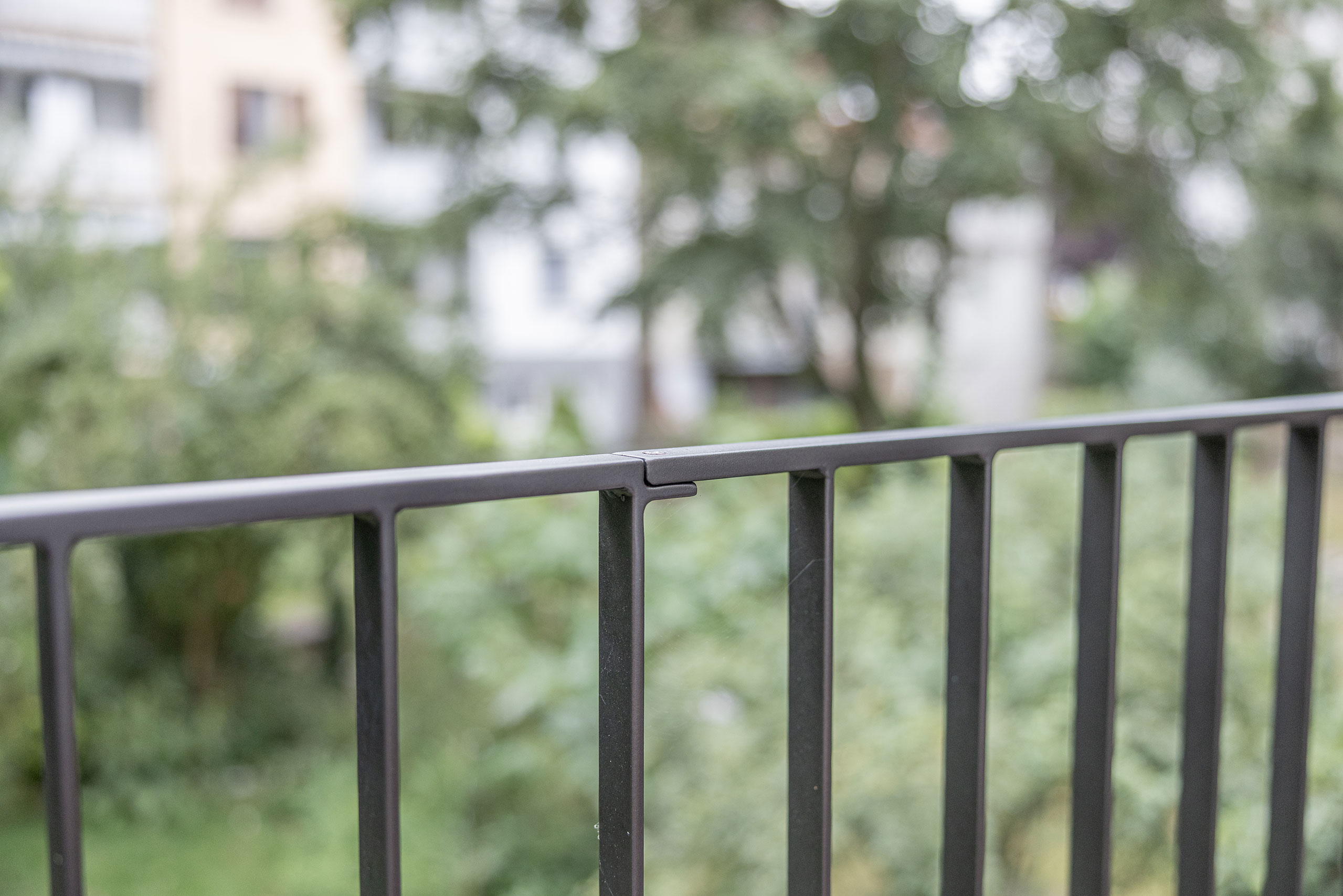 04-R5019773_BSA_Birsquai15