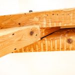 07-R5016239_BSA_Bachofenstrasse4