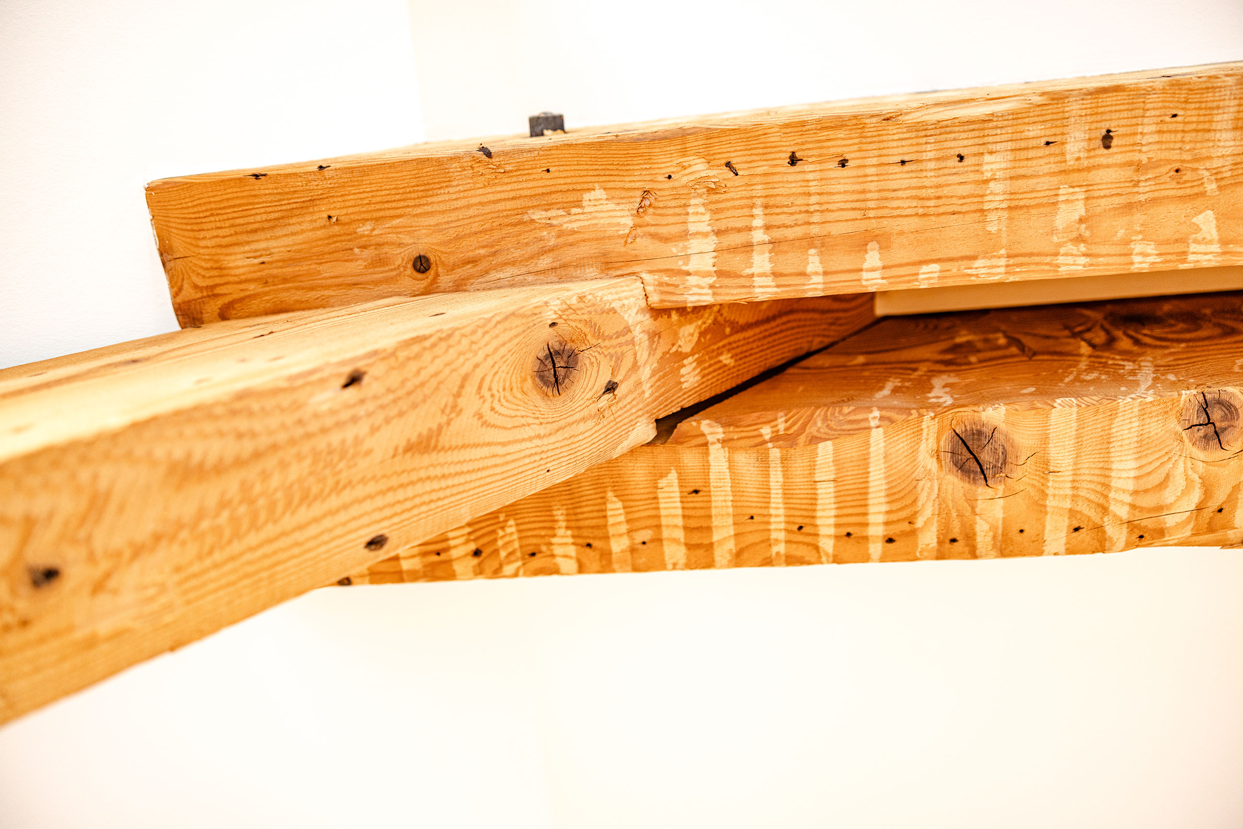 07-R5016239_BSA_Bachofenstrasse4