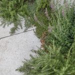 09-R5019852_BSA_Rosenstrasse6