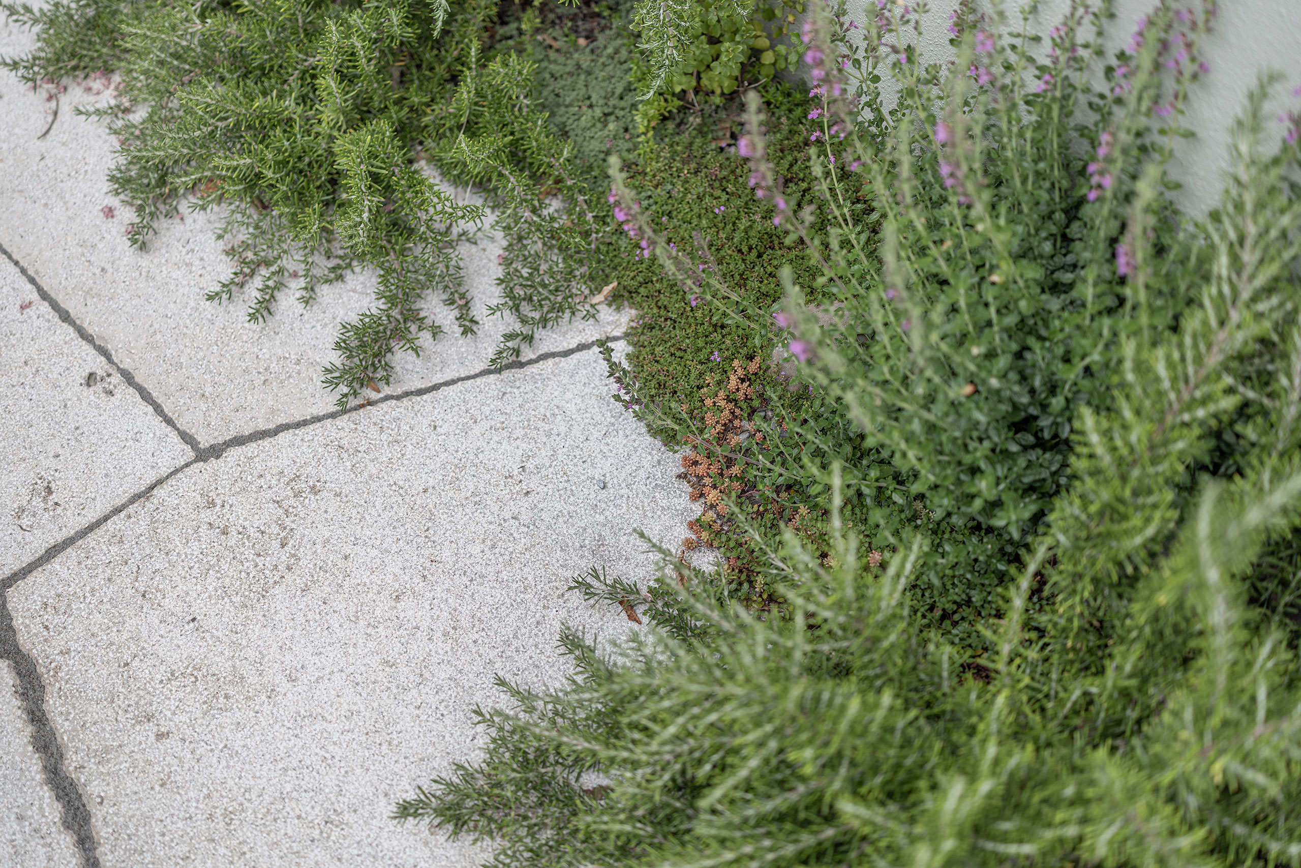 09-R5019852_BSA_Rosenstrasse6