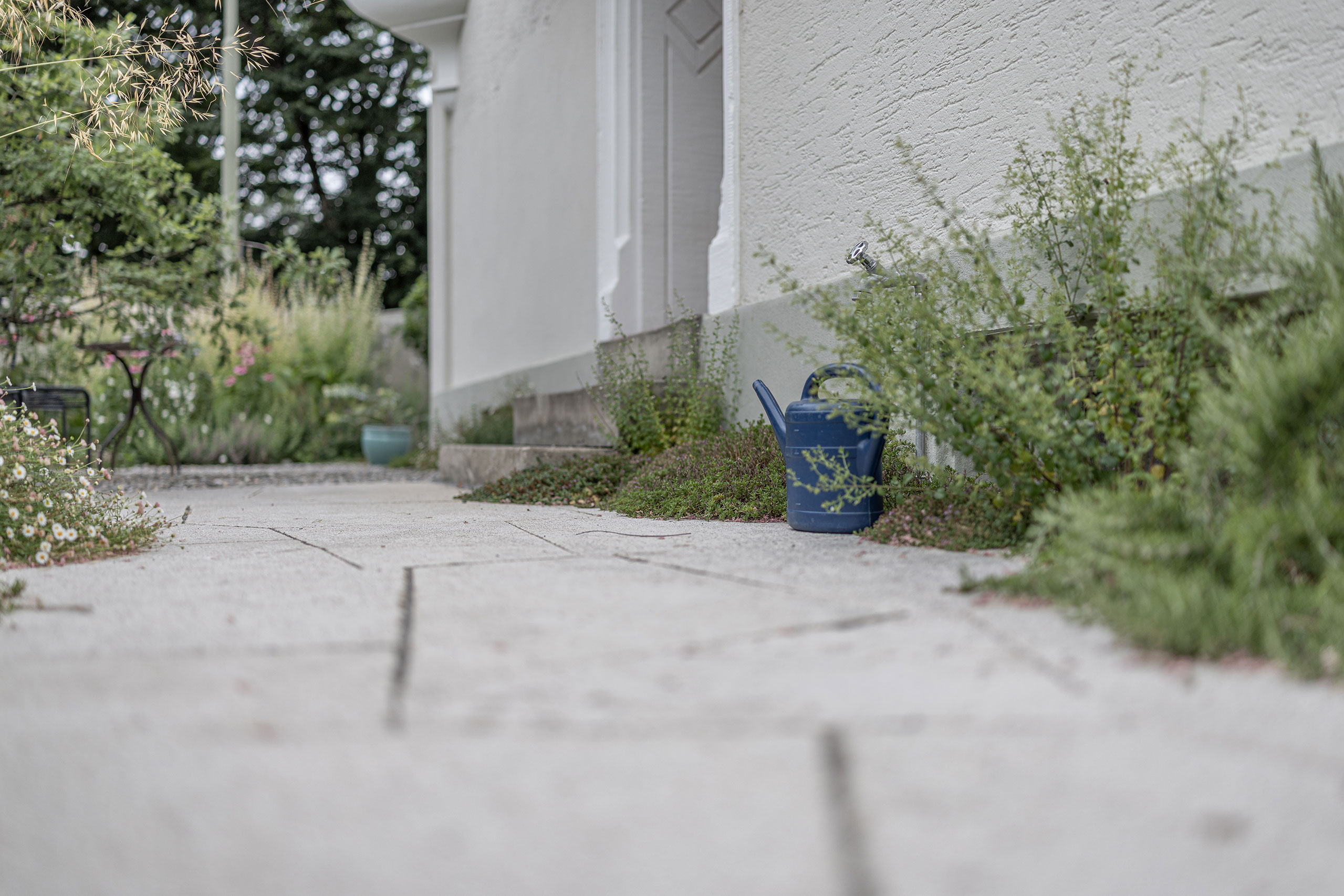 12-R5019854_BSA_Rosenstrasse6