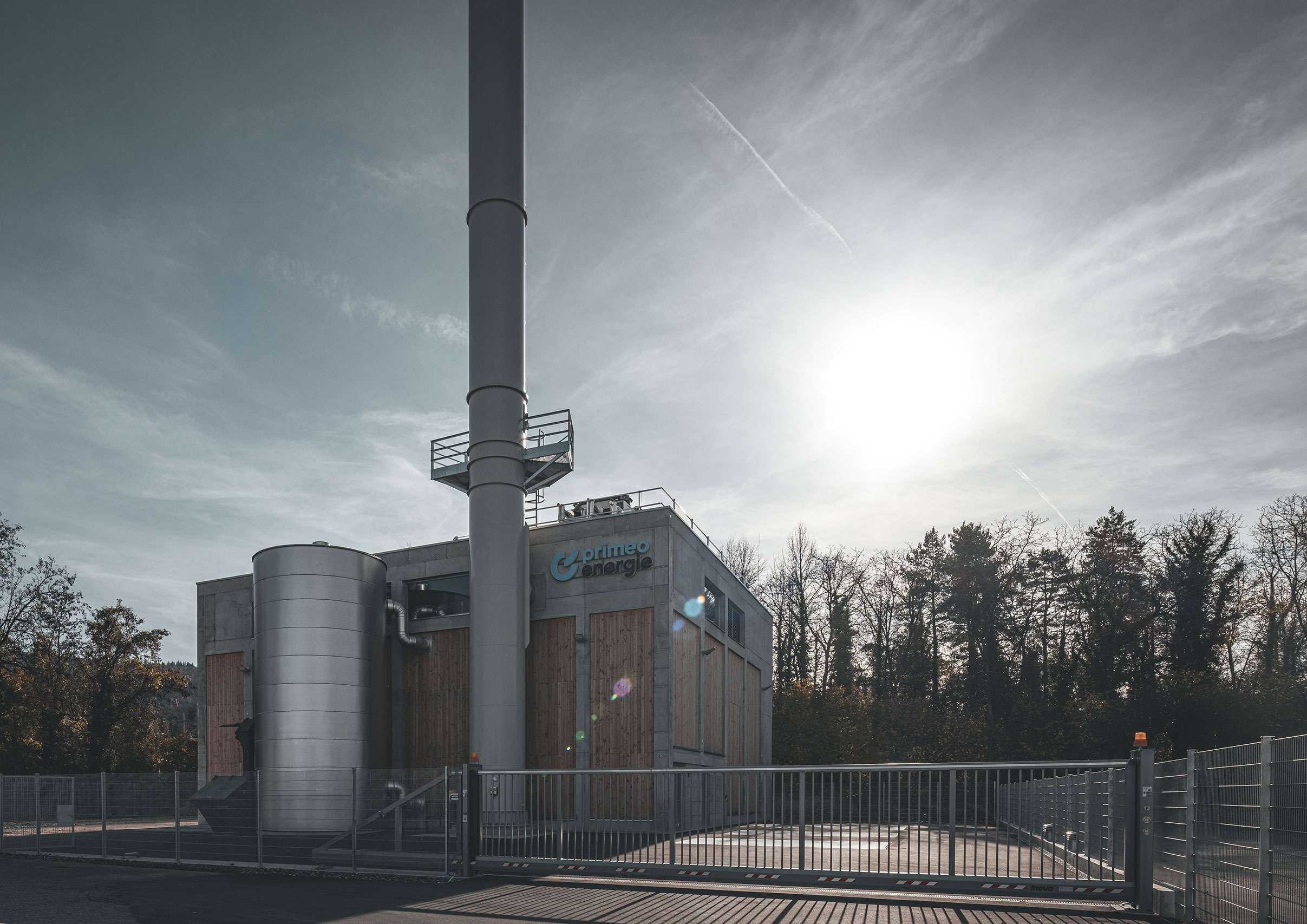 12-R5024856_BSA_Weidenringx